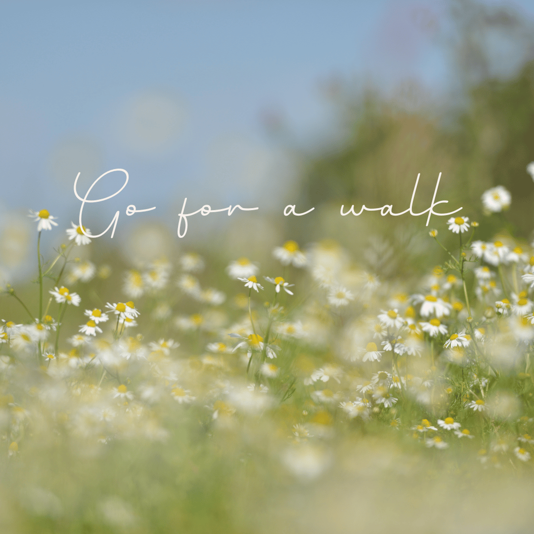 朝の散歩とホ・オポノポノ♬