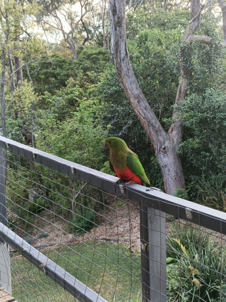 なぜ、ナチュロパスになろうと思ったのか